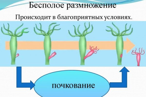 Кракен сайт с наркотиками