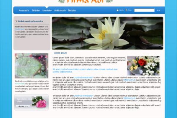 Где найти рабочую ссылку на кракен