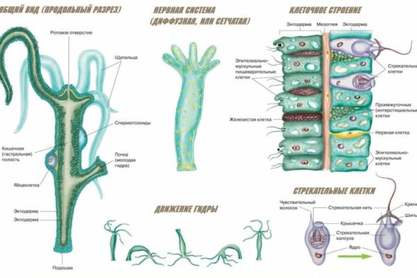 Kraken ссылка onion 2kmp