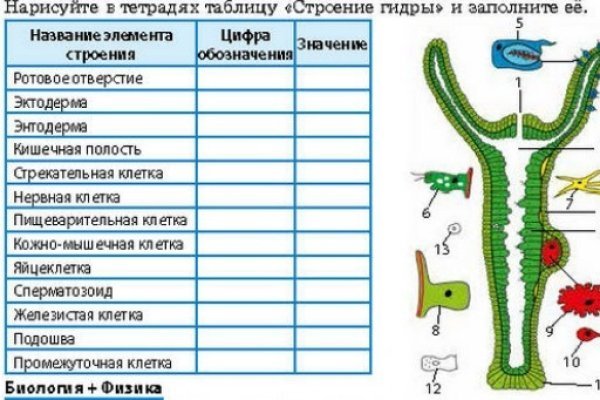 Кракен сайт пользователь не найден