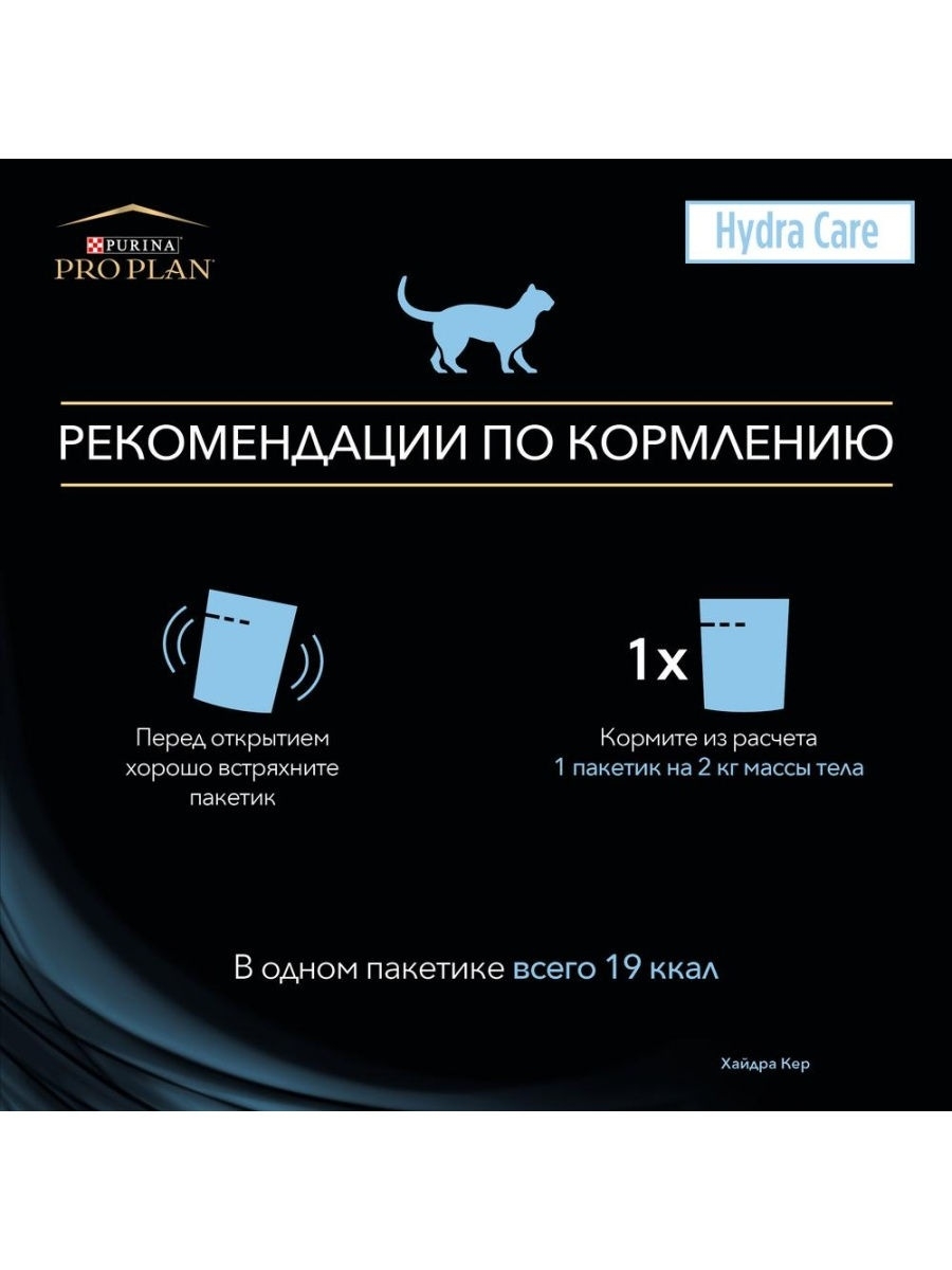 Не могу зайти на кракен