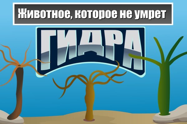 Kra43.cc Вход на сайт главная страница